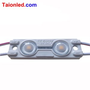 2 LED Back-lit Module